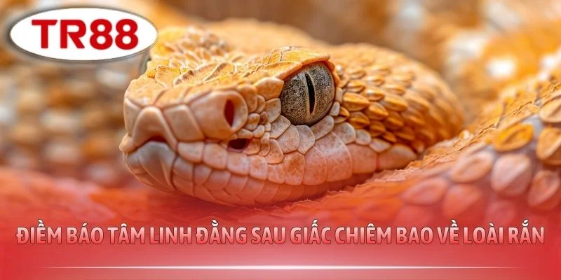 Điềm báo tâm linh đằng sau giấc chiêm bao về loài rắn