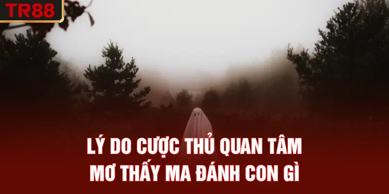 Lý do cược thủ quan tâm mơ thấy ma đánh con gì