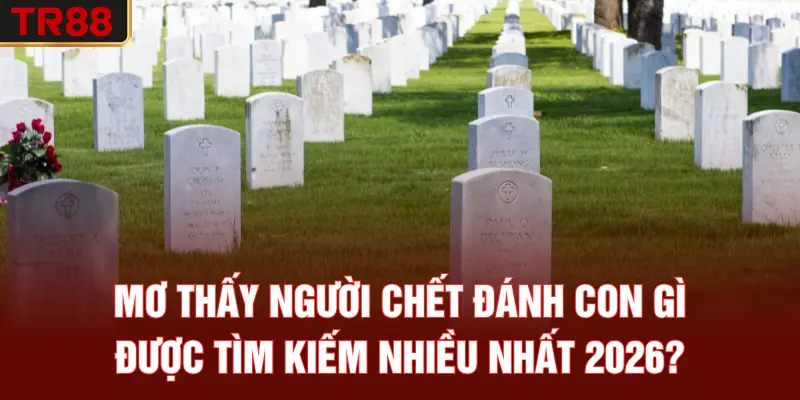 Mơ thấy người chết đánh con gì được tìm kiếm nhiều nhất 2026?