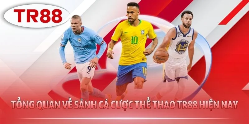 Tổng quan về sảnh cá cược thể thao TR88 hiện nay